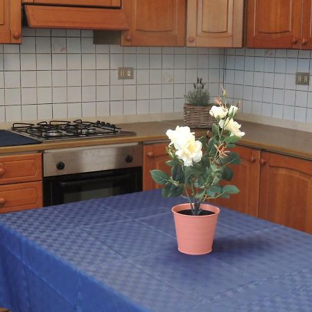 A Casa Di Lucia Bed & Breakfast Pisa Ngoại thất bức ảnh